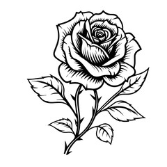 rose flower vector illustration - obrazy, fototapety, plakaty