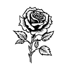 rose flower vector illustration