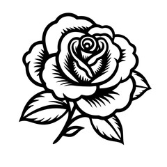 rose flower vector illustration