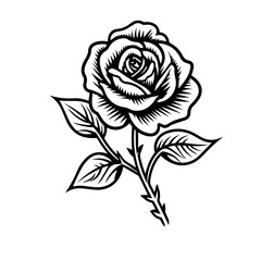 rose flower vector illustration