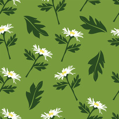 Daisy flower with green leaves isolated on green background. Seamless daisy pattern. 