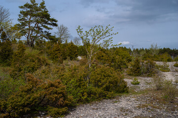 Obraz na płótnie Canvas Kassari Landscape Protection area - naturally beautiful and diverse area in the southeastern part of Hiiumaa Island, Hiiumaa, Estonia.