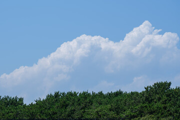 夏の雲と青と緑のコントラスト