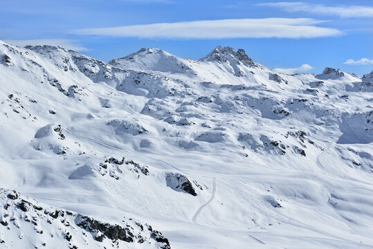 Bella Tola
