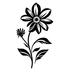 flower vector illustration 