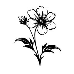 flower vector illustration 