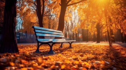 Foto op Plexiglas Warm oranje bench in autumn park HD 8K wallpaper Stock Photographic Image
