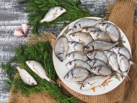 Spar fish,Lascoure fish, on a plate, seafood, top view, place for text, background image