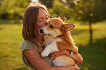young girl hugging pembroke welsh corgi in the park in sunny weather, happy dogs concept