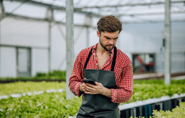 Fototapeta premium Farm owner calculates resources, profit, performance, expenses, maximizes revenue, controls costs.