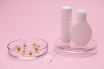 Pharmaceutical still life with white small blank bottles of cosmetic product from natural organic ingredients, labglass with moisturizer smear near a chamomile flowers on Petri dish, isolated on pink