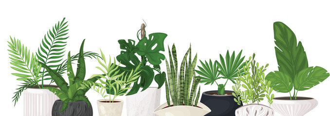 Set of indoor tropical plants in fashionable pots