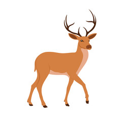 deer vector art illustration flat design