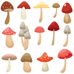 Vector set mushroom collection