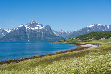 View from Sp&aring;kenes at the Lyngen fjord, Norway