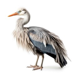 Great blue heron bird isolated on white. Generative AI