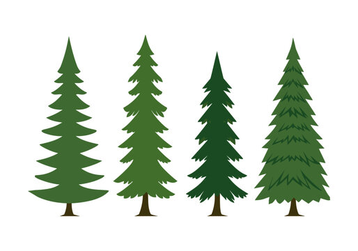 Set of spruce tree vector design in flat style