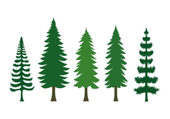 Set of spruce tree vector design in flat style