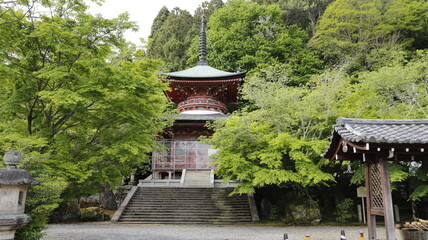 japanese pavilion in the garden 