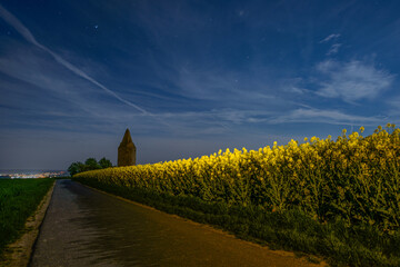 Full moon illuminated rapeseed fielt with old watchtower in the background. taken around midnight