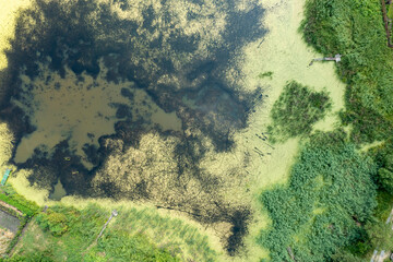 Drone-captured photo: Serene lake surrounded by green grass under clear, sunny weather. Vibrant and tranquil summer landscape with reflective lake, enhancing depth and natural beauty.