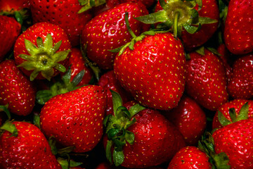 Lots of beautiful red fresh strawberries close up	
