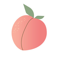 Peach, sweet summer fruit. Vegetarian food. Simple vector design.