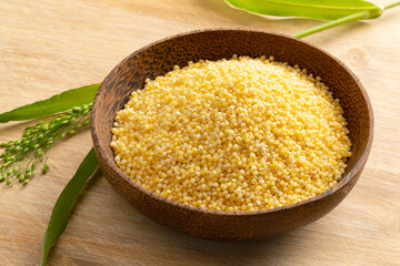 Bowl with raw dry yellow millet and a fresh millet ear close up  