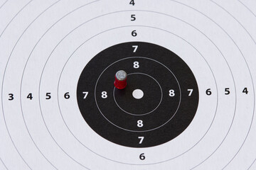 Target sheet from firing range, angled macro.