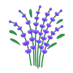 Fototapeta premium Purple forget me not flower bouquet