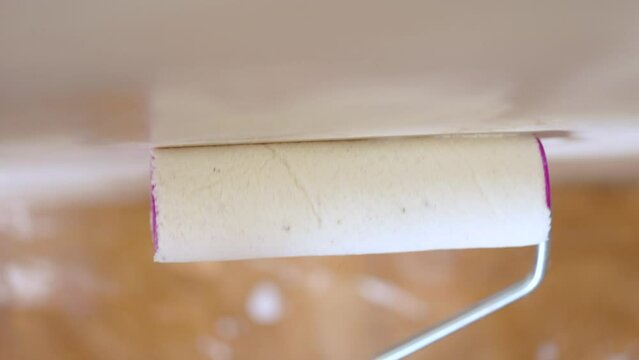 worker applies primer with paint roller to the surface of the wall