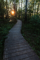 Empty wooden walkway and setting sun the dark forest