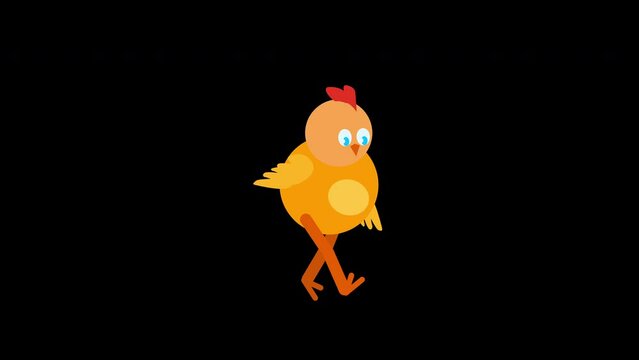 Cute funny chicken running. Cartoony 2d animation of yellow cock. Cartoon animated character. Film grain pixel texture. Farm animal hurrying. Rushing hen with rolling eye. isolated on black background