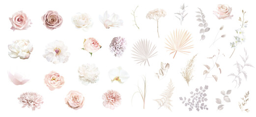 Boho beige and blush trendy vector design flowers. Pastel pampas grass, ivory peony, orchid, dahlia, ranunculus