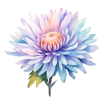 watercolor image beautiful colorful aster flower, png on a transparent background. generated ai