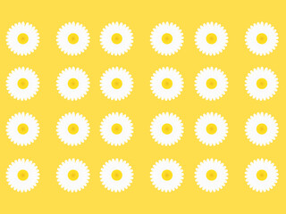 Daisies, yellow backgrounds and wallpapers