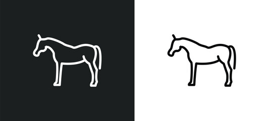 arab horse icon isolated in white and black colors. arab horse outline vector icon from other collection for web, mobile apps and ui.