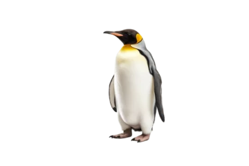 Fotobehang Penguin Isolated on Transparent Background. Generative AI © AIstudio1