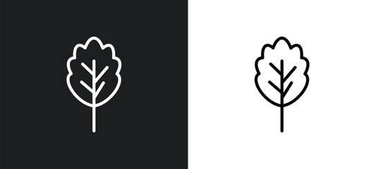 oak icon isolated in white and black colors. oak outline vector icon from nature collection for web, mobile apps and ui.