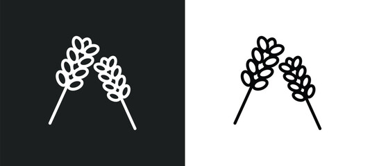 lavender icon isolated in white and black colors. lavender outline vector icon from nature collection for web, mobile apps and ui.