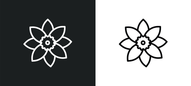 jonquil icon isolated in white and black colors. jonquil outline vector icon from nature collection for web, mobile apps and ui.