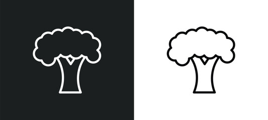beech icon isolated in white and black colors. beech outline vector icon from nature collection for web, mobile apps and ui.