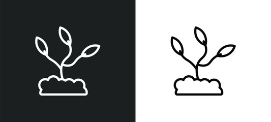 grow plant icon isolated in white and black colors. grow plant outline vector icon from nature collection for web, mobile apps and ui.