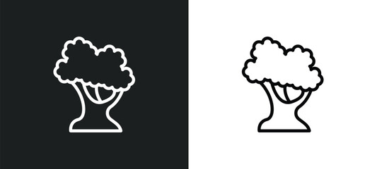 white oak tree icon isolated in white and black colors. white oak tree outline vector icon from nature collection for web, mobile apps and ui.