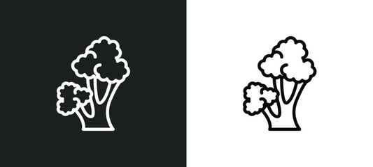 scarlet oak tree icon isolated in white and black colors. scarlet oak tree outline vector icon from nature collection for web, mobile apps and ui.