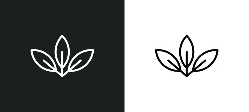 acicular icon isolated in white and black colors. acicular outline vector icon from nature collection for web, mobile apps and ui.