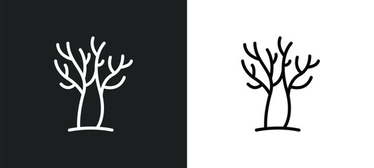 leafless tree icon isolated in white and black colors. leafless tree outline vector icon from nature collection for web, mobile apps and ui.