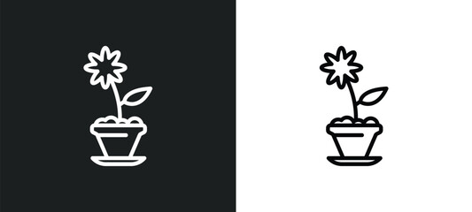 daisy on pot icon isolated in white and black colors. daisy on pot outline vector icon from nature collection for web, mobile apps and ui.