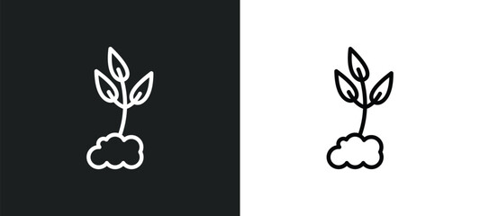 cultivation icon isolated in white and black colors. cultivation outline vector icon from nature collection for web, mobile apps and ui.