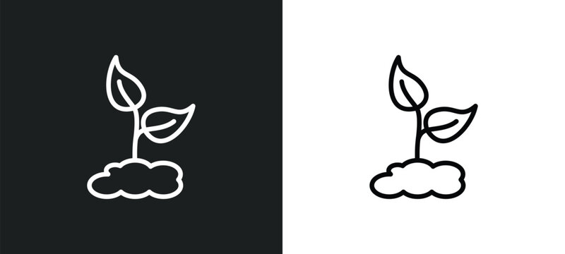 grows icon isolated in white and black colors. grows outline vector icon from nature collection for web, mobile apps and ui.